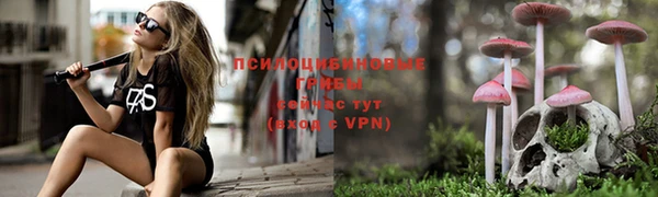 дживик Кулебаки
