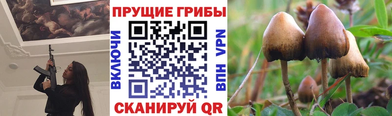 Галлюциногенные грибы GOLDEN TEACHER  наркота  кракен зеркало  Михайловка 